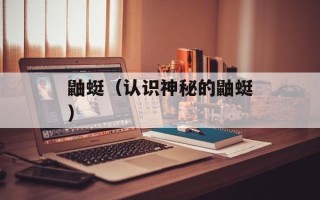 鼬蜓（认识神秘的鼬蜓）