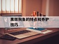黑斑狗鱼的特点和养护技巧