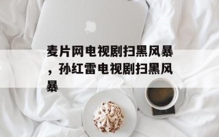 麦片网电视剧扫黑风暴，孙红雷电视剧扫黑风暴