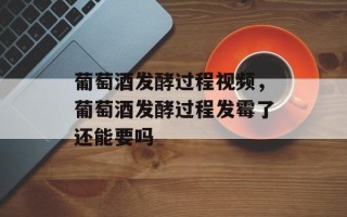 葡萄酒发酵过程视频，葡萄酒发酵过程发霉了还能要吗