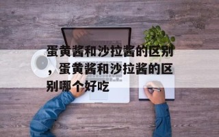 蛋黄酱和沙拉酱的区别，蛋黄酱和沙拉酱的区别哪个好吃