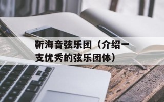 靳海音弦乐团（介绍一支优秀的弦乐团体）