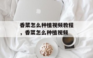 香菜怎么种植视频教程，香菜怎么种植视频
