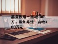 黑鱼养殖一亩地100万，黑鱼养殖一亩地100万元