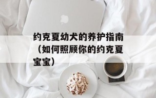 约克夏幼犬的养护指南（如何照顾你的约克夏宝宝）