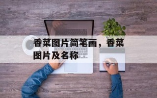 香菜图片简笔画，香菜图片及名称