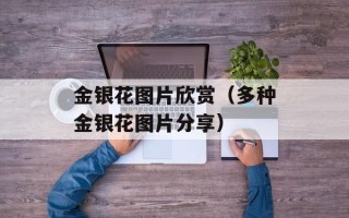 金银花图片欣赏（多种金银花图片分享）