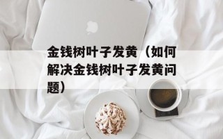 金钱树叶子发黄（如何解决金钱树叶子发黄问题）