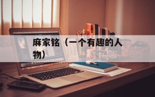 麻家铭（一个有趣的人物）