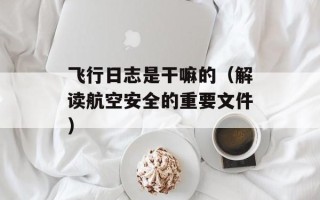 飞行日志是干嘛的（解读航空安全的重要文件）