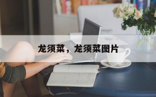 龙须菜，龙须菜图片
