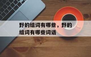 野的组词有哪些，野的组词有哪些词语