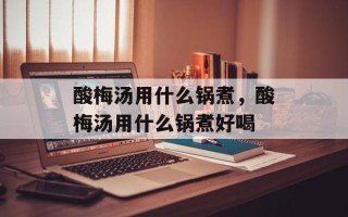 酸梅汤用什么锅煮，酸梅汤用什么锅煮好喝