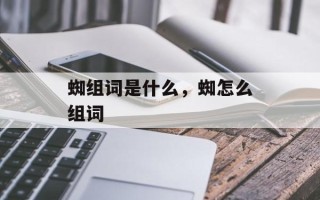 蜘组词是什么，蜘怎么组词