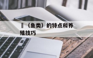 鰂（鱼类）的特点和养殖技巧