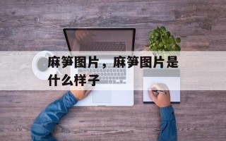 麻笋图片，麻笋图片是什么样子