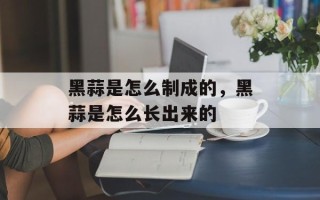 黑蒜是怎么制成的，黑蒜是怎么长出来的