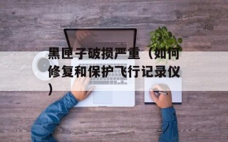 黑匣子破损严重（如何修复和保护飞行记录仪）