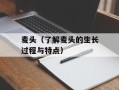 麦头（了解麦头的生长过程与特点）