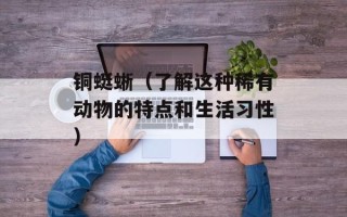铜蜓蜥（了解这种稀有动物的特点和生活习性）