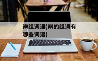 辨组词语(辨的组词有哪些词语)