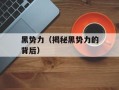 黑势力（揭秘黑势力的背后）