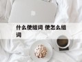 什么使组词 使怎么组词