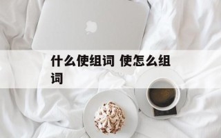 什么使组词 使怎么组词