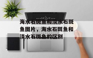 海水石斑鱼和淡水石斑鱼图片，海水石斑鱼和淡水石斑鱼的区别