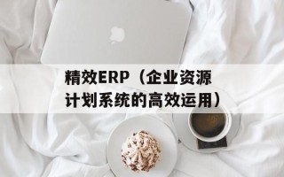 精效ERP（企业资源计划系统的高效运用）