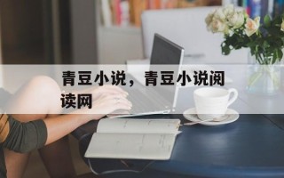 青豆小说，青豆小说阅读网