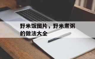 野米饭图片，野米煮粥的做法大全