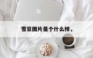 雪豆图片是个什么样，