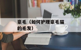 豪毛（如何护理豪毛猫的毛发）