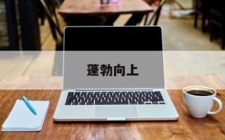 蓬勃向上