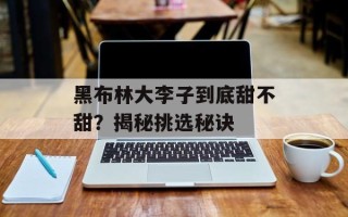 黑布林大李子到底甜不甜？揭秘挑选秘诀