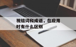 视组词和成语，在应用时有什么区别