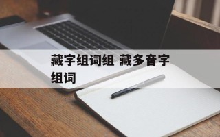 藏字组词组 藏多音字组词