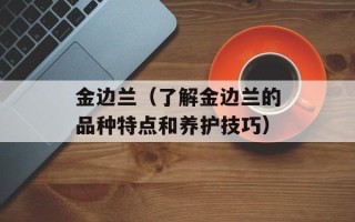 金边兰（了解金边兰的品种特点和养护技巧）