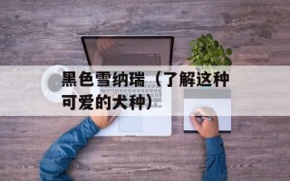 黑色雪纳瑞（了解这种可爱的犬种）