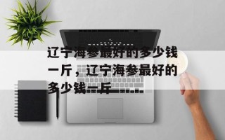 辽宁海参最好的多少钱一斤，辽宁海参最好的多少钱一斤