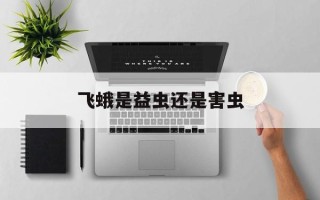 飞蛾是益虫还是害虫