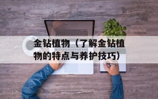 金钻植物（了解金钻植物的特点与养护技巧）