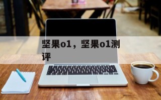 坚果o1，坚果o1测评