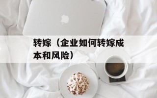转嫁（企业如何转嫁成本和风险）