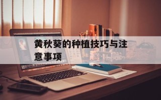 黄秋葵的种植技巧与注意事项