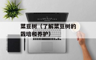 菜豆树（了解菜豆树的栽培和养护）