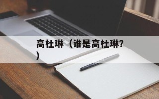 高杜琳（谁是高杜琳？）