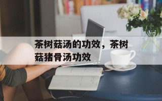 茶树菇汤的功效，茶树菇猪骨汤功效
