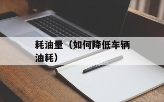 耗油量（如何降低车辆油耗）